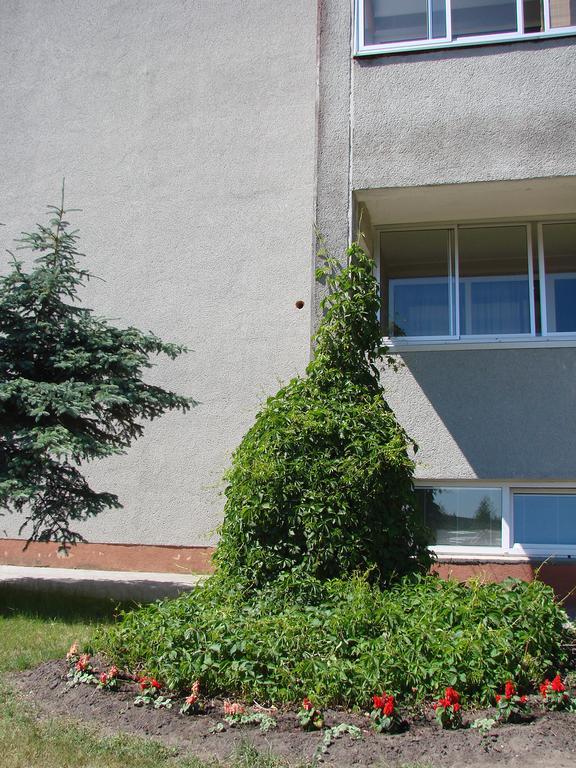 Hotel Pas Roma à Šventoji Extérieur photo